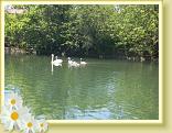 Eswars_24.06.2010 (3)